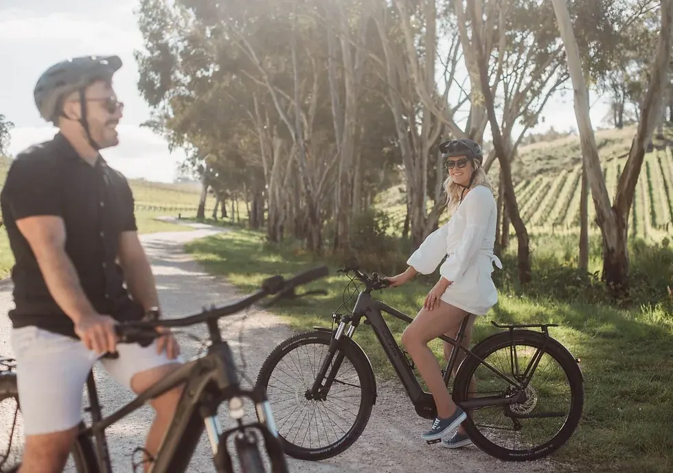 Couple on e-bikes on a tree-lined track beside a vineyard