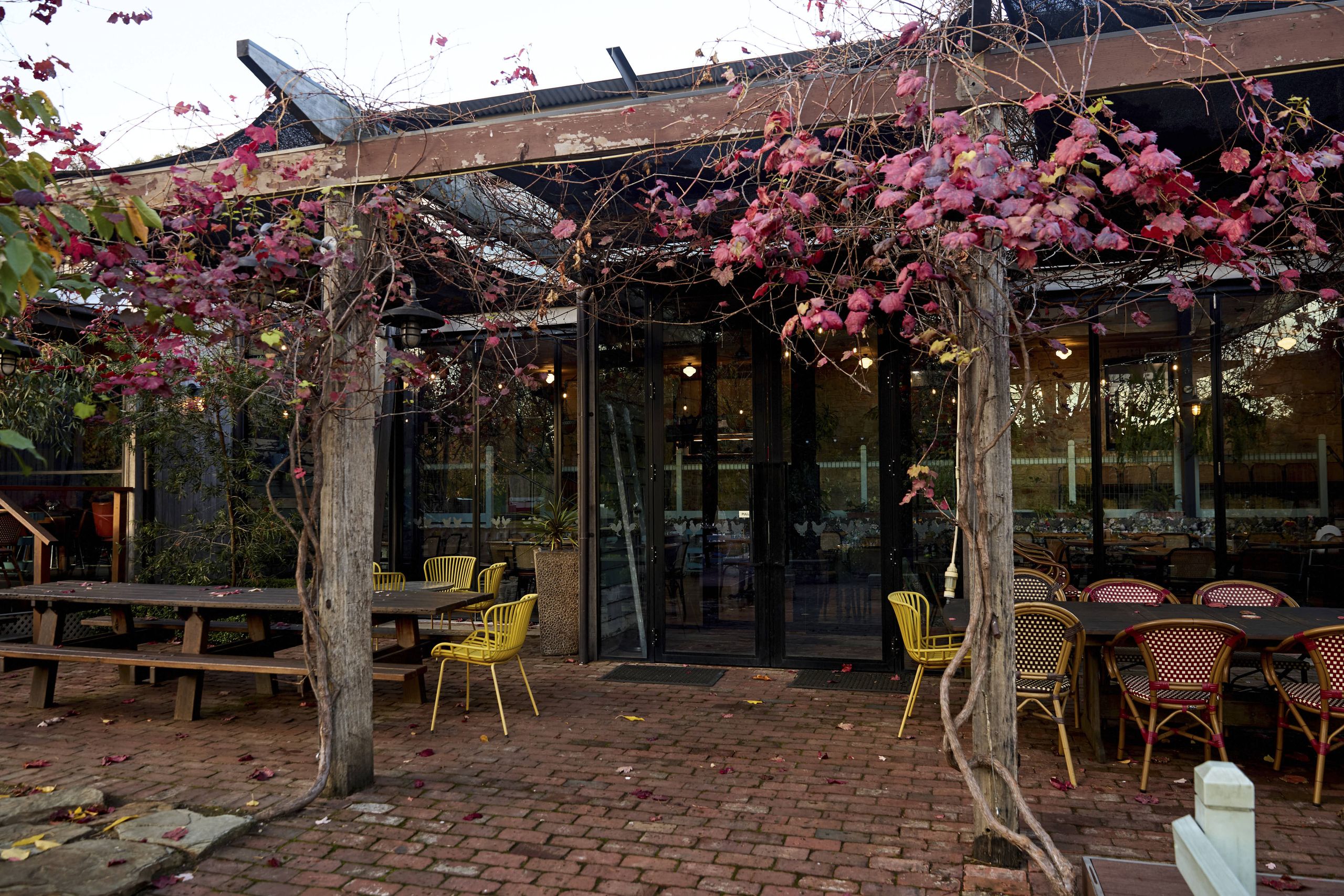 Rear entrance under a vine-covered pergola leading to the Glasshouse Dining Room