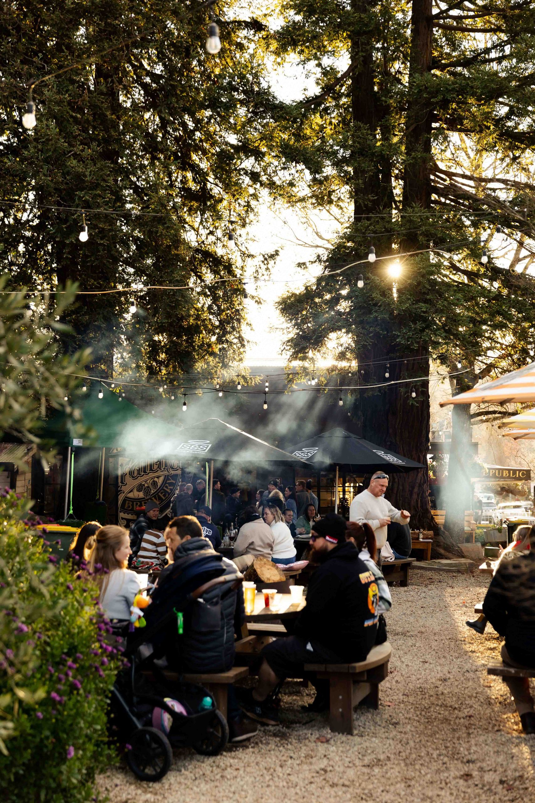 Guests in the beer garden under tall trees and festoon lights